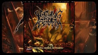 Writhing Afterbirth  Defaced Defiled Devoured FULL EP 2010 [upl. by Aikin]