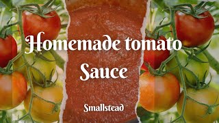 Homemade Tomato Sauce [upl. by Dann]