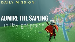 Sky Admire the sapling in Daylight prairie Daily mission [upl. by Sadie]