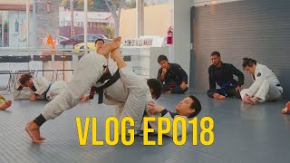 VLOG  EP018 Favorite Sweep amp Submission  Passing Closed Guard [upl. by Ofilia]