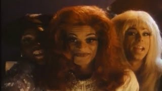 Stonewall 1995 Trailer  Nigel Finch [upl. by Hamimej]