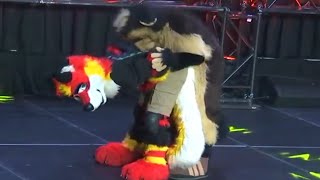 BLFC Dance Competition 2022  FuzzyInputs Code Monky FireFox [upl. by Ailaroc]