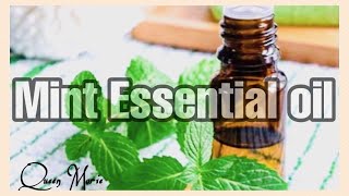 How to make essential oil  Mint essential oil [upl. by Derna]