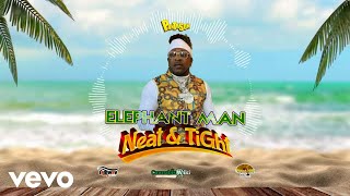 Elephant Man Panta Son  Neat amp Tight Official Audio [upl. by Novia]