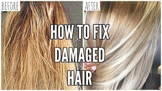 How To Fix EXTREMELY Damaged Hair At Home [upl. by Cacka505]