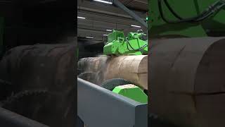 Debarking Logs How Machinery Makes It Easy shorts timber woodprocessing machinery [upl. by Gardol]