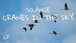 Solange  Cranes In The Sky Lyric Video [upl. by Sidnak28]