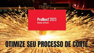 ProNest  Todo Processo em Menos de Dois Minutos [upl. by Anires]