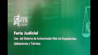 Utilización del Sistema Web de Autoconsulta de Expedientes durante las Ferias Judiciales [upl. by Caves601]