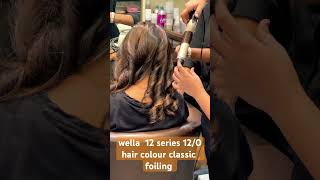 transformation wella wellahair wellacolor wellablonde wellaprofessional wellapro balayage ￼ [upl. by Cerys]