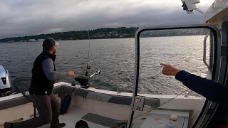 TROLLING Buzz Bombs for Salmon Quick limits [upl. by Berna]