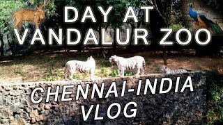 DAY AT VANDALUR ZOO  CHENNAI INDIAN EXOTIC PETS MUST WATCH [upl. by Towroy344]