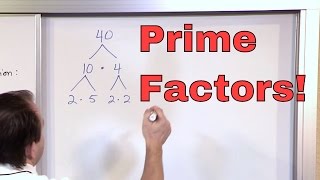 Prime Factorization  5th Grade Math  Finding Factors of a Number Factoring  Math Homework Help [upl. by Hayouqes]