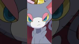 Meet Purrloin Glameow and Litten toadandbuddiespokémon anime [upl. by Trebeh910]