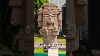 Chicomecoatl diosa del maíz en la Casa de Morelos Ecatepec diadelmaiz [upl. by Enisaj]