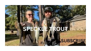 SPECKLED TROUT CREEK FISHING [upl. by Ytitsahc]