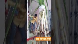 अपने घर कोसी भरते हुए video viralvideo biharnews biharnewsl news reel shots viralreels [upl. by Cirdnek]