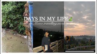 Days in my life🍃 life in india  aesthetic vlog 🌊 [upl. by Thedrick]