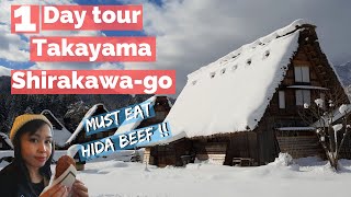 SHIRAKAWAGO Day Trip from Takayama Winter Travel Guide [upl. by Hsejar158]