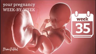 35 Weeks Pregnant  Natural Pregnancy WeekByWeek [upl. by Eicyaj]