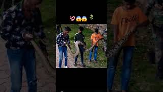 😱Aisa Ajgar 🪱saamp aapane Aaj Tak Nahin Dekha hoga🪱😱 snake shorts viral trending video viral reel [upl. by Nimrahc]