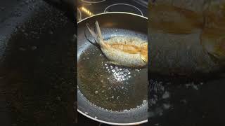 MILKFISH YLL ilovemilkfish shortvideo [upl. by Lihkin]