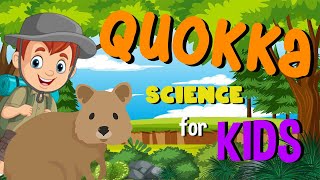 Quokka  Science for Kids [upl. by Krischer]