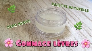 Gommage lèvres maison  DIY 1 [upl. by Thetisa]