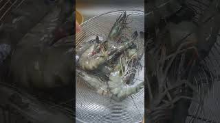 Tiger Shrimp 🍤  SUGPO fyp viral shorts [upl. by Lukey]