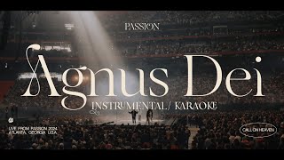 Passion 2024  Agnus dei Instrumental karaoke Official lyrics [upl. by Grayson325]