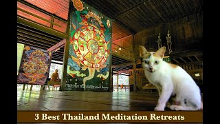 Meditation RETREATS in Thailand  3 Best Retreat Options at Wats Temples in Thailand [upl. by Aynam]