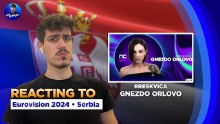 Greek Guy Reacts to BRESKVICA quotGNEZDO ORLOVOquot Pze 2024🇷🇸 Serbia Eurovision 2024 [upl. by Blasien]