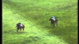 1985 Tingle Creek Handicap Chase [upl. by Keldon807]