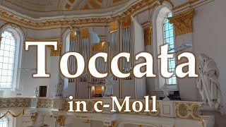 improvisierte Toccata in cMoll  Gregor Engelhardt Basilika St Martin in Wiblingen Winterhalter [upl. by Adnilahs]