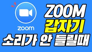 줌 갑자기 소리가 안들릴때 ㅣ줌 오디오 설정 ㅣ줌 소리 문제 ㅣ 어쭈비니 꿀팁 392 초보유튜버 유튜브팁 [upl. by Yznel]