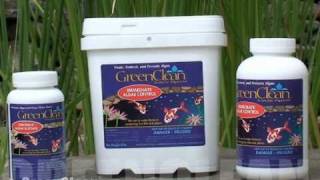 GreenClean Algaecide  Fish Friendly Algae Control [upl. by Ennair241]