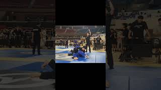 OPMT 주짓수대회 하이라이트 주짓수 bjj 운동 대회 jiujitsu [upl. by Dumm]