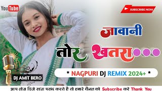 Jawani tor khatara 🔹 nagpuri dj songs 2024 🔹 Instagram trending dj songs 2024🔹st music bero [upl. by Janaya]