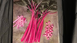 A year with Pink Beauty Amaranth Seed to harvest [upl. by Musser146]