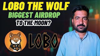 NEW LOBO THE WOLF PUP TOKEN REVIEW  LOBO HIGH POTENTIAL TOKEN  LOBO NEXT 100X GEM TOKEN OF 2025 [upl. by Arikat]