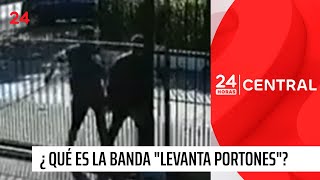 Alerta así actúa la banda quotlevanta portonesquot  24 Horas TVN Chile [upl. by Randy]