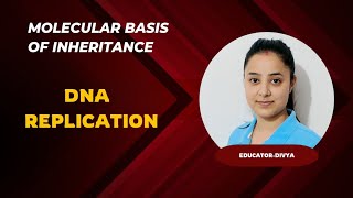 DNA Replication  Molecular Basis of Inheritance  NEET 2024  Bio  NCERT [upl. by Wadleigh]