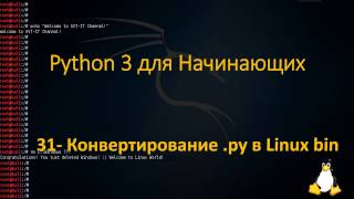 Python  Конвертирование py в Linux bin [upl. by Adnahcal648]