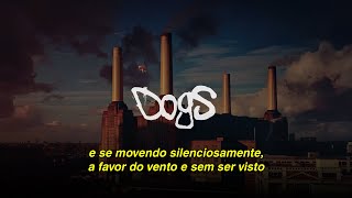 Pink Floyd  Dogs Legendado [upl. by Nicholl212]