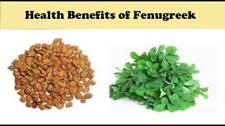 Health Benefits of Fenugreek Methi in Hindi  Fenugreek for Diabetes skin Hair amp Heart [upl. by Aerol]