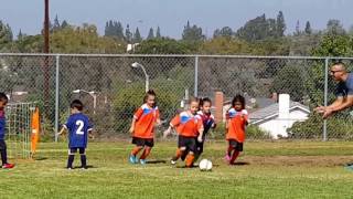 AC Brea Girls Boys AYSO U5 Soccer Game 4 yr 5 yr old match philomena JUSA Soccer PreK Kindergarten [upl. by Irrem]