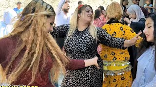 SAFRANBOLU GÜMÜŞ KÜRT MAHALESİ EĞLENCELİ DÜĞÜN WEDDİNG DANCE [upl. by Hamimej]