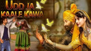 Ud Ja Kale Kawa  video song  Sunny Deol Amisha Patel Gadar 2 song Jubin NautiyaNeha Kakkar [upl. by Waldner727]