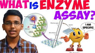 what is enzyme assaywhat is linked enzyme assay [upl. by Laresa]