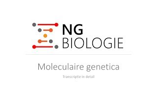 Moleculaire genetica  transcriptie in detail  VWO [upl. by Nnayllehs489]